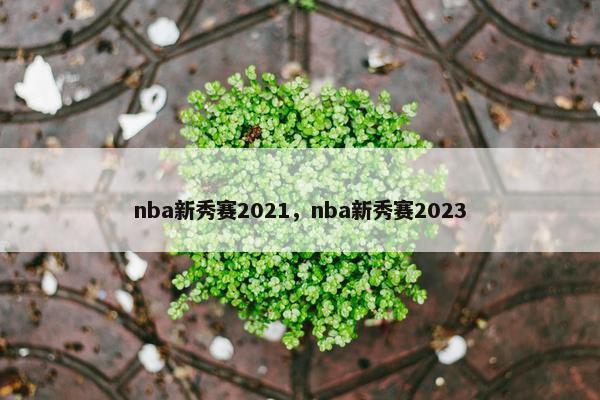 nba新秀赛2021，nba新秀赛2023