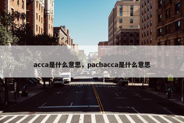acca是什么意思，pachacca是什么意思