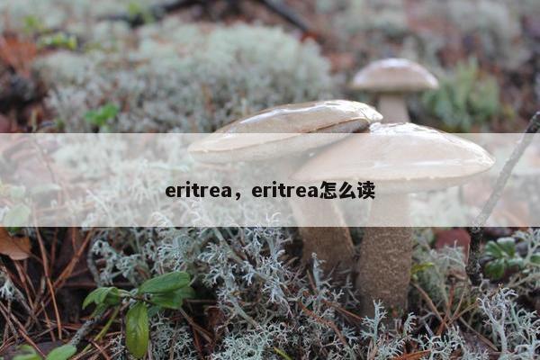 eritrea，eritrea怎么读