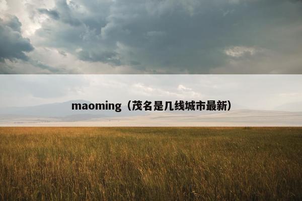 maoming（茂名是几线城市最新）