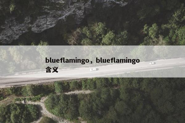 blueflamingo，blueflamingo含义