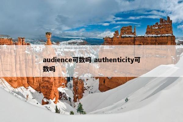audience可数吗 authenticity可数吗