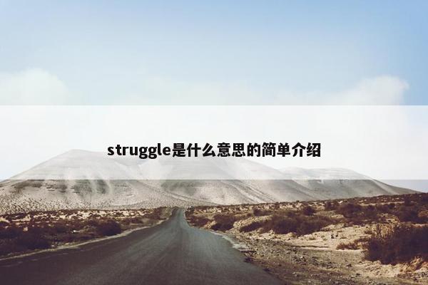 struggle是什么意思的简单介绍