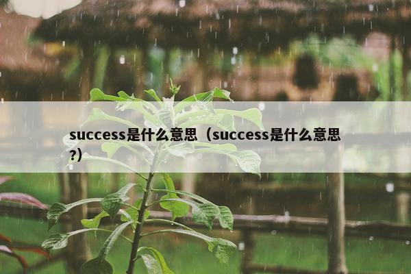 success是什么意思（success是什么意思?）
