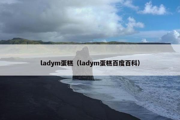 ladym蛋糕（ladym蛋糕百度百科）