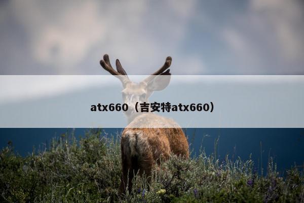 atx660（吉安特atx660）