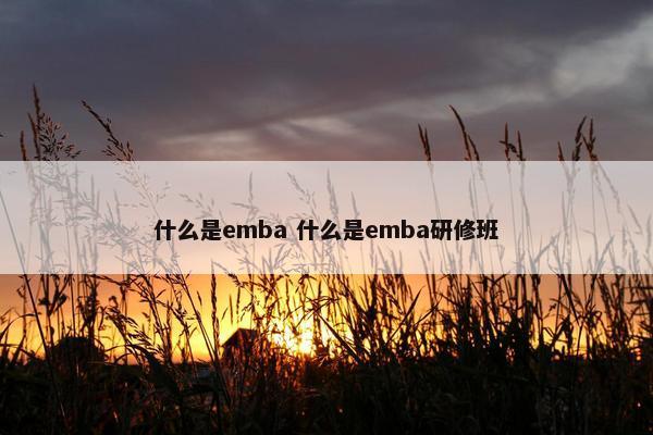 什么是emba 什么是emba研修班