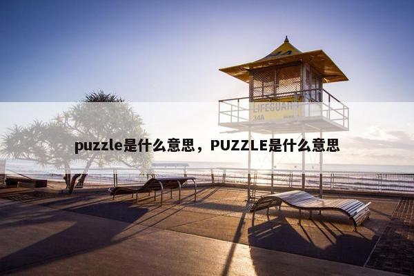 puzzle是什么意思，PUZZLE是什么意思