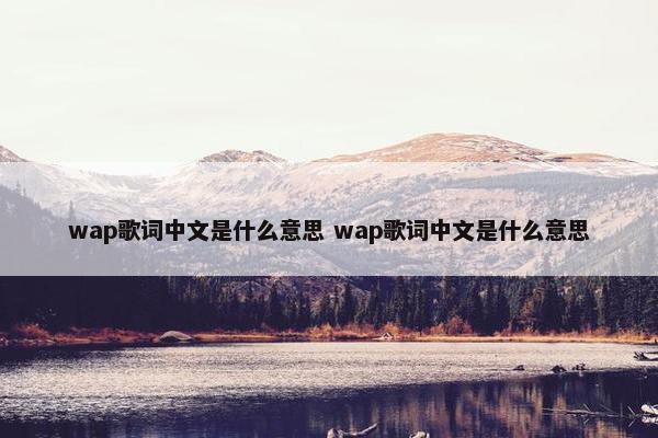 wap歌词中文是什么意思 wap歌词中文是什么意思