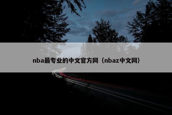 nba最专业的中文官方网（nbaz中文网）