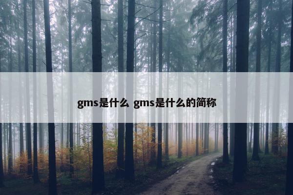 gms是什么 gms是什么的简称