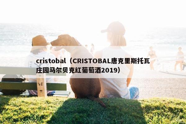 cristobal（CRISTOBAL唐克里斯托瓦庄园马尔贝克红葡萄酒2019）