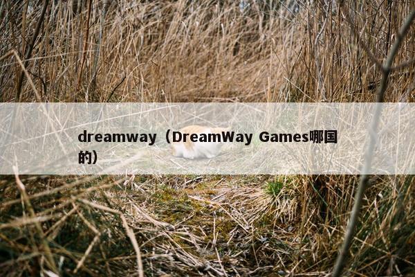 dreamway（DreamWay Games哪国的）