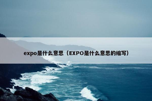 expo是什么意思（EXPO是什么意思的缩写）