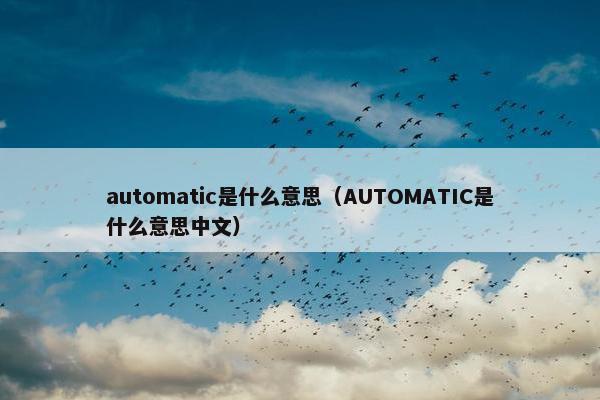 automatic是什么意思（AUTOMATIC是什么意思中文）