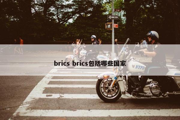 brics brics包括哪些国家