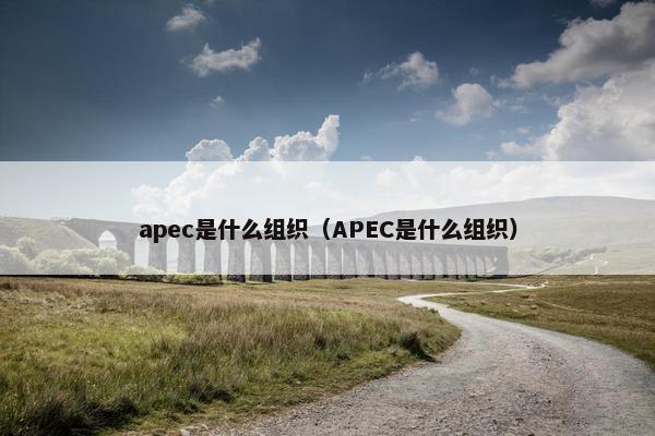 apec是什么组织（APEC是什么组织）