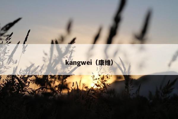 kangwei（康维）
